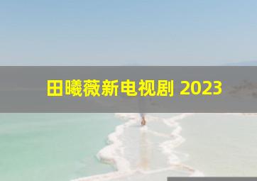 田曦薇新电视剧 2023